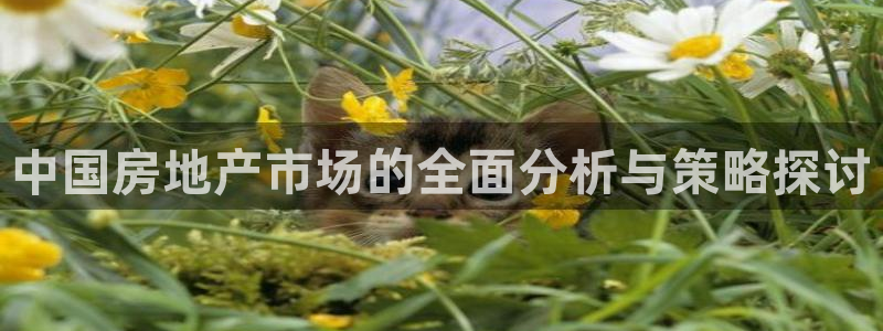 新宝5娱乐家：中国房地产市场的全面分析与策略探讨