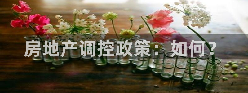 新宝5招商222111