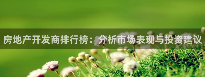 新宝6霸哥5：房地产开发商排行榜：分析市场表现与投资建议