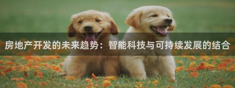老新宝5授权登录：房地产开发的未来趋势：智能科技与可持续发展