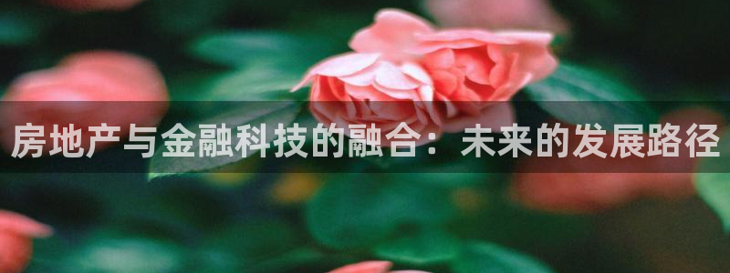 新宝5玩法：房地产与金融科技的融合：未来的发展路径