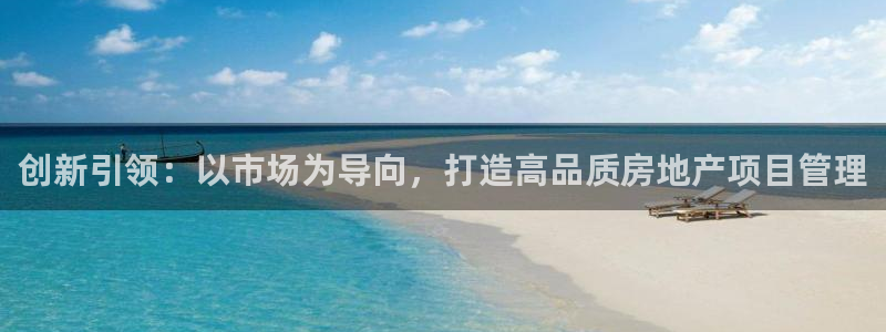 新宝5的网址：创新引领：以市场为导向，打造高品质房地产项目管