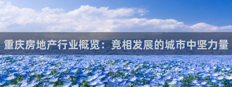新宝5注册测速登录：重庆房地产行业概览：竞相发展的城市中坚力