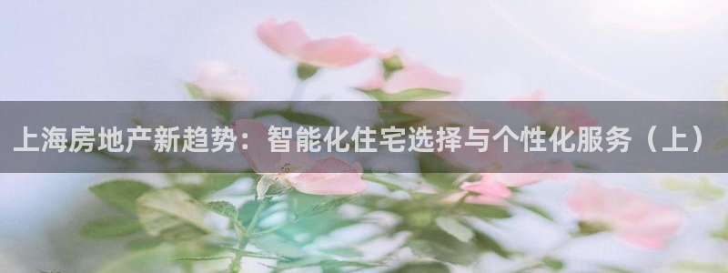 新宝5娱乐同