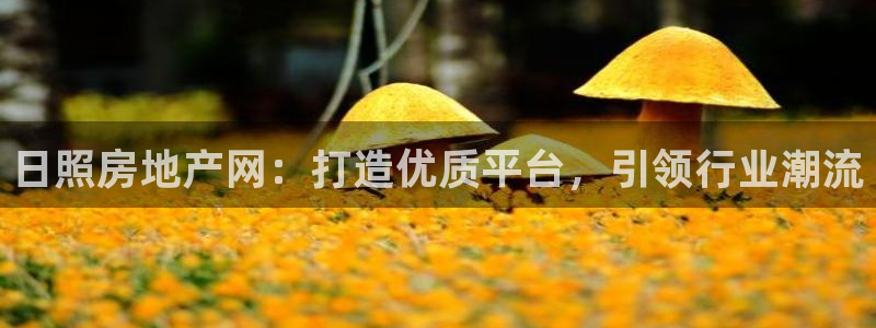 新宝5平台霸：日照房地产网：打造优质平台，引领行业潮流