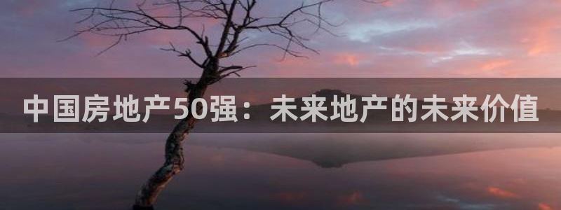 新宝5注册登录：中国房地产50强：未来地产的未来价值