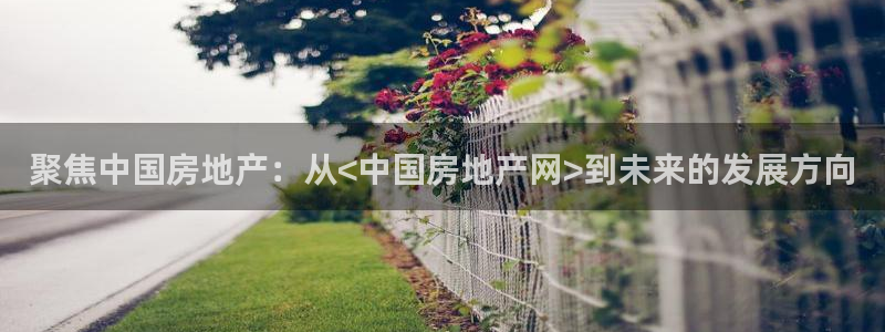 新宝5黑：聚焦中国房地产：从<中国房地产网>到未来的发展方向