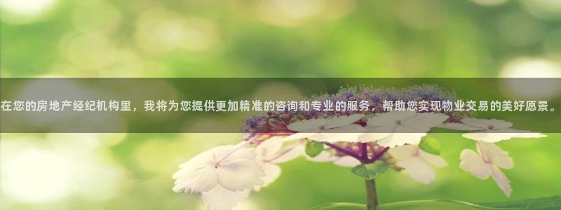 新宝5平台注册：在您的房地产经纪机构里，我将为您提供更加精准