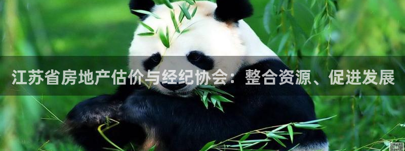 新宝5app：江苏省房地产估价与经纪协会：整合资源、促进发展