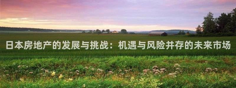 新宝5谠631257：日本房地产的发展与挑战：机遇与风险并存
