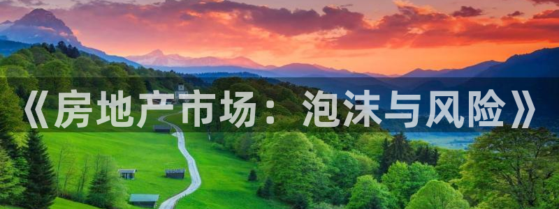 新宝5手机测速：《房地产市场：泡沫与风险》
