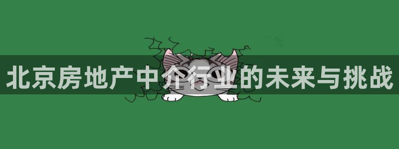 新宝5娱乐如：北京房地产中介行业的未来与挑战