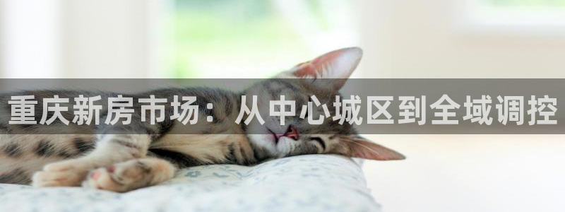 新宝5导师：重庆新房市场：从中心城区到全域调控