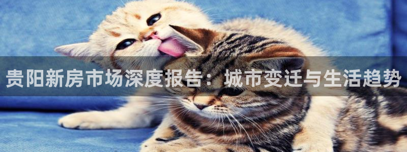 新宝5可靠吗：贵阳新房市场深度报告：城市变迁与生活趋势