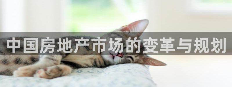 新宝5注册登录：中国房地产市场的变革与规划