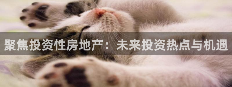 新宝娱乐5：聚焦投资性房地产：未来投资热点与机遇