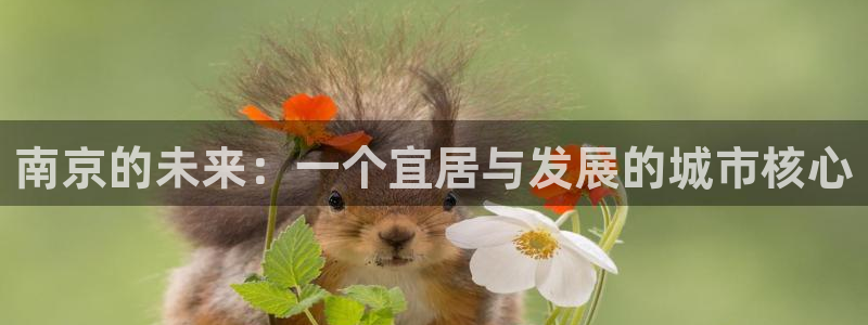 新宝5新宝6顺达：南京的未来：一个宜居与发展的城市核心