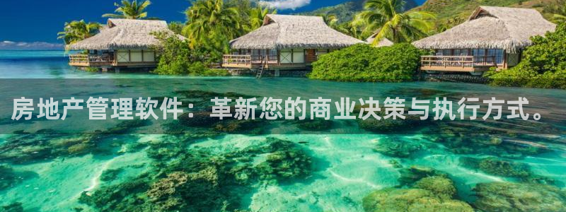 新宝5分彩：房地产管理软件：革新您的商业决策与执行方式。
