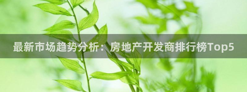 新宝5app手机下载：最新市场趋势分析：房地产开发商排行榜T