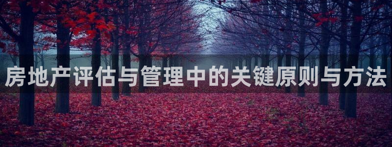 新宝_5：房地产评估与管理中的关键原则与方法