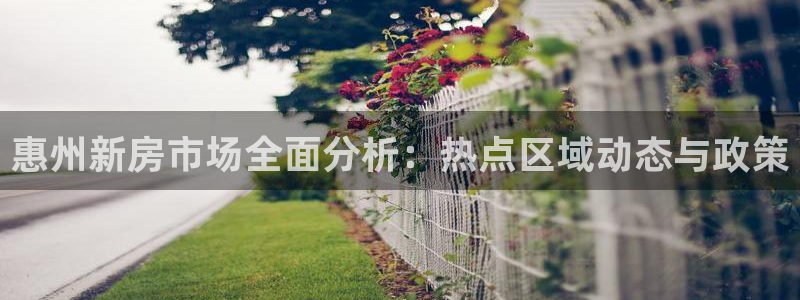 新宝5娱乐多：惠州新房市场全面分析：热点区域动态与政策