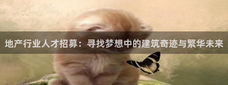 新宝5怎么代理：地产行业人才招募：寻找梦想中的建筑奇迹与繁华
