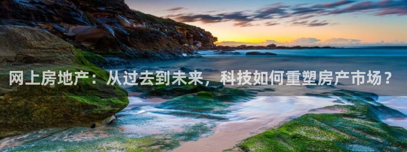 新宝5官网app：网上房地产：从过去到未来，科技如何重塑房产