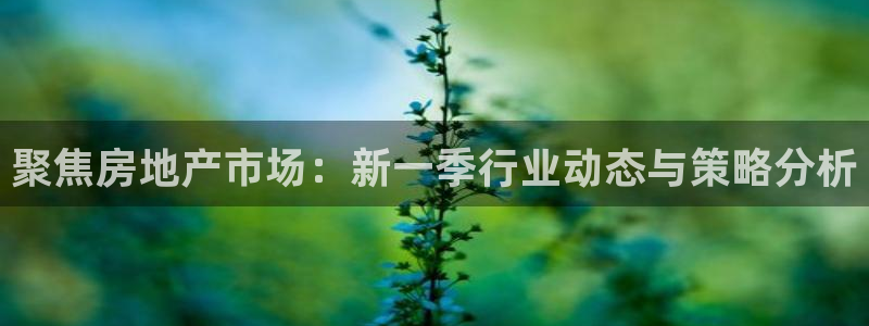 新宝5娱乐都：聚焦房地产市场：新一季行业动态与策略分析