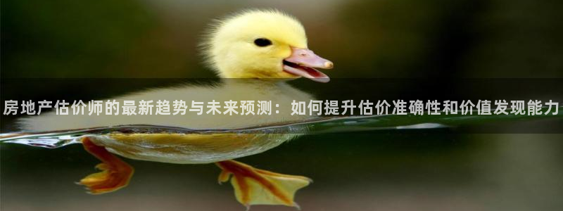 新宝5测：房地产估价师的最新趋势与未来预测：如何提升估价准确