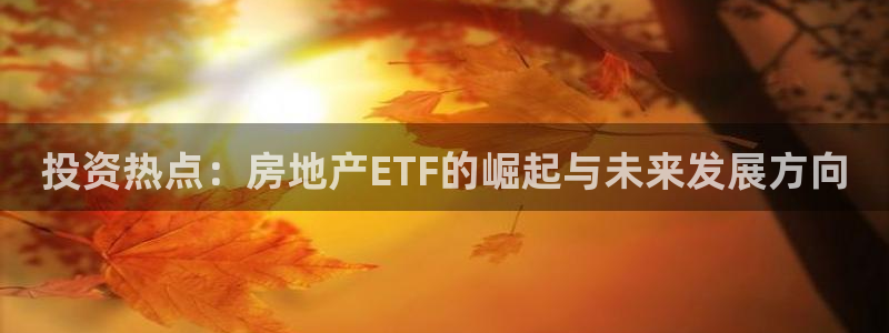 新宝5浗维33 300：投资热点：房地产ETF的崛起与未来发