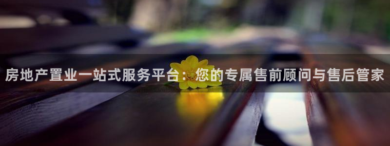 新宝5首页：房地产置业一站式服务平台：您的专属售前顾问与售后