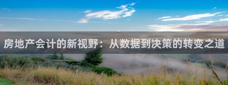 新宝5策略：房地产会计的新视野：从数据到决策的转变之道