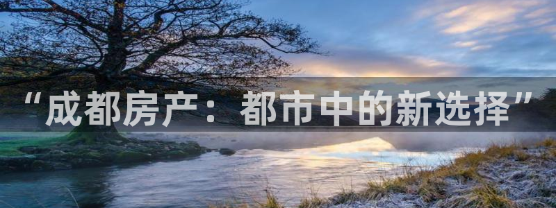 新宝5测速平台登录：“成都房产：都市中的新选择”
