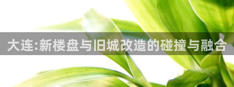 新宝5平棋牌