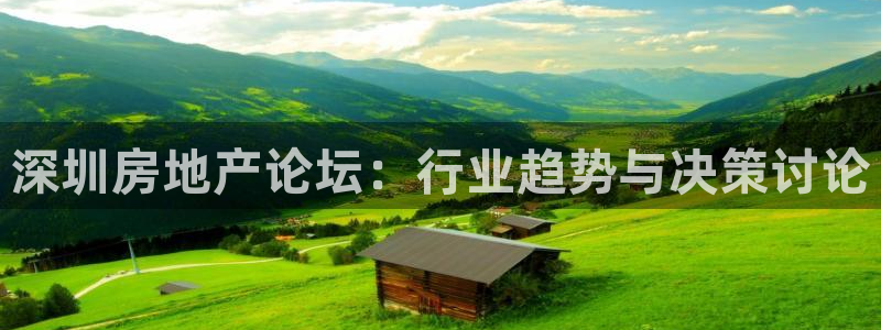 新宝m2O5O5O：深圳房地产论坛：行业趋势与决策讨论