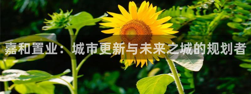 新宝5 - 测速登陆：嘉和置业：城市更新与未来之城的规划者