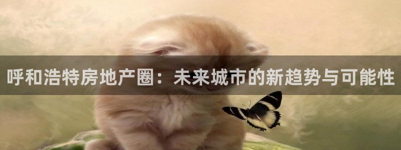新宝5首页：呼和浩特房地产圈：未来城市的新趋势与可能性