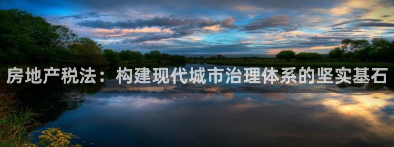 新宝股东张听2 5 5：房地产税法：构建现代城市治理体系的坚