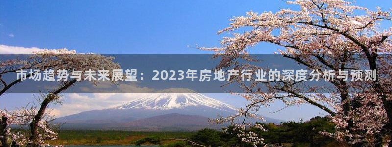 新宝5谠631257：市场趋势与未来展望：2023年房地产行