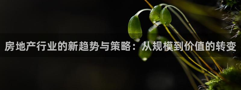 新宝5吴74OOO5：房地产行业的新趋势与策略：从规模到价值