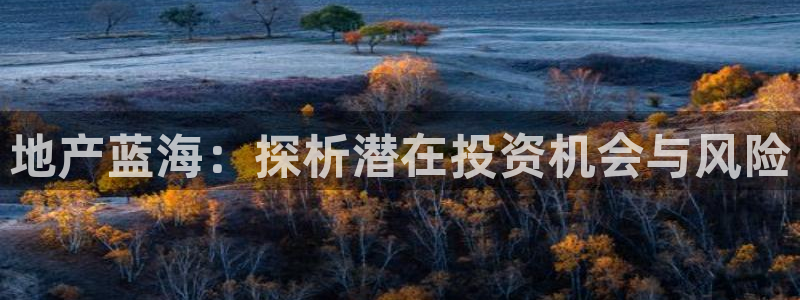 新宝5公司：地产蓝海：探析潜在投资机会与风险