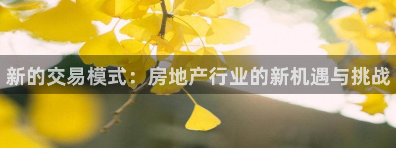 新宝5登录不了：新的交易模式：房地产行业的新机遇与挑战