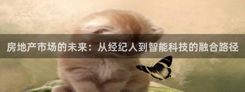 新宝5培训：房地产市场的未来：从经纪人到智能科技的融合路径