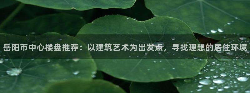 新宝5平台霸：岳阳市中心楼盘推荐：以建筑艺术为出发点，寻找理
