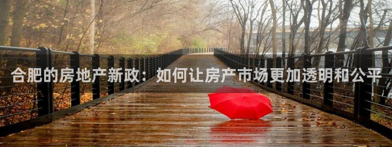 新宝5测速平台登录：合肥的房地产新政：如何让房产市场更加透明