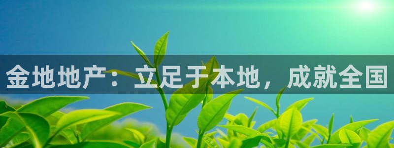 新宝5挂机软件：金地地产：立足于本地，成就全国