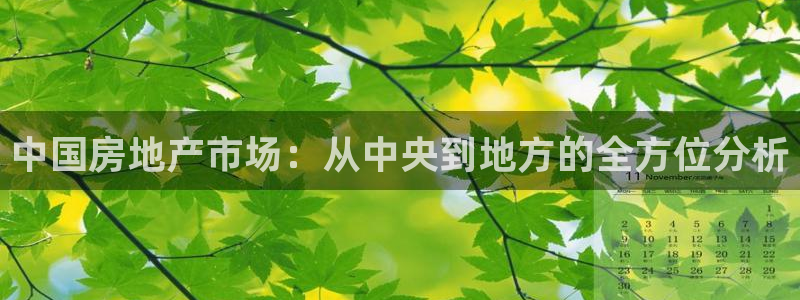 新宝5浗维33 300：中国房地产市场：从中央到地方的全方位