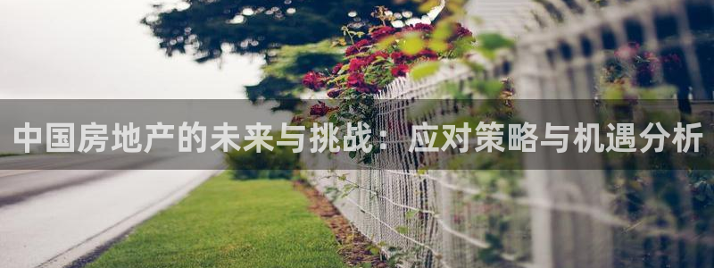 新宝5登录界面