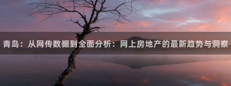新宝5直属：青岛：从网传数据到全面分析：网上房地产的最新趋势