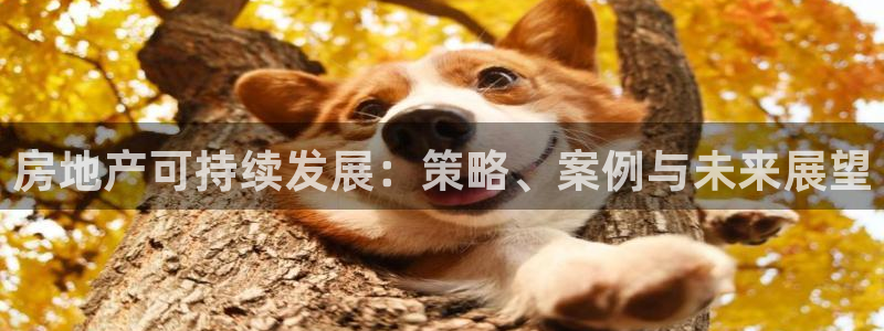 下载新宝5：房地产可持续发展：策略、案例与未来展望